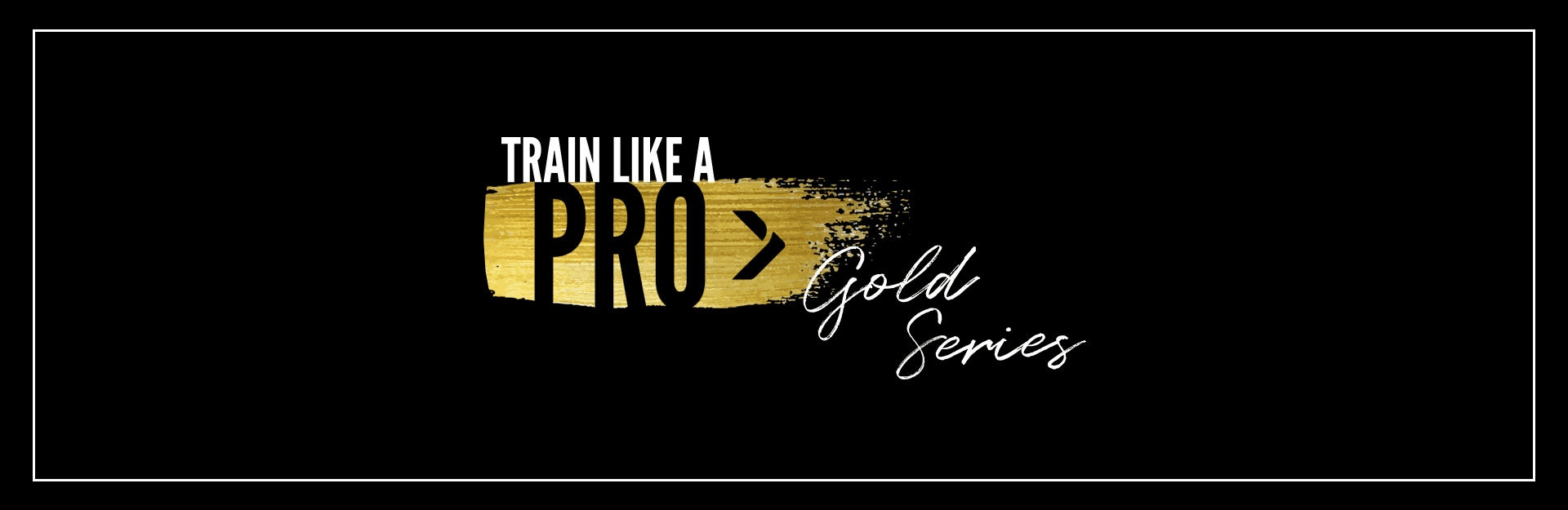 WordPress blog image - goldFeatured_img_1920x625-1.png